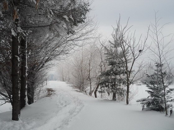 Зима на Украине