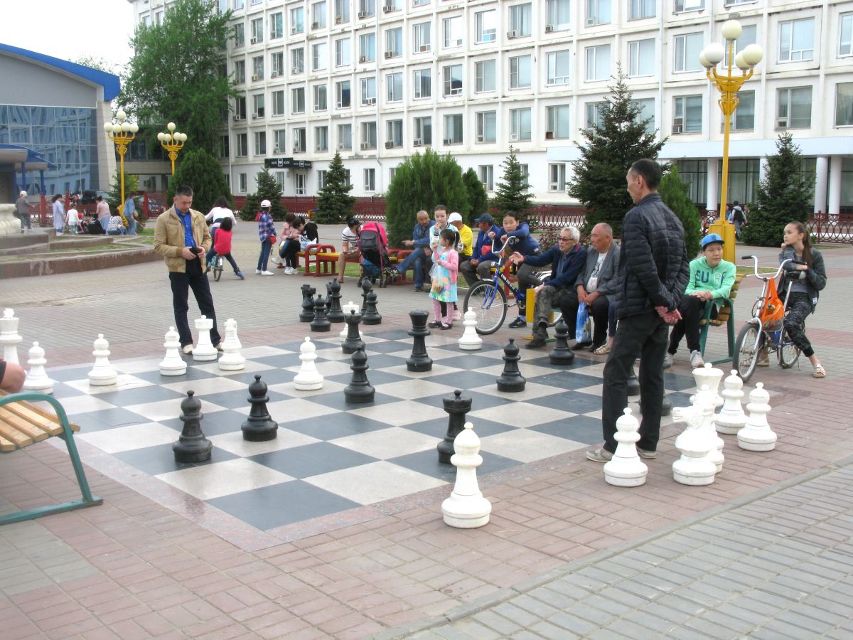 Шахматы в парке